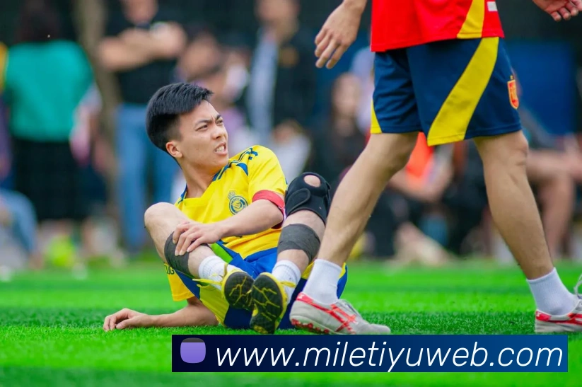 多媒体互动体验